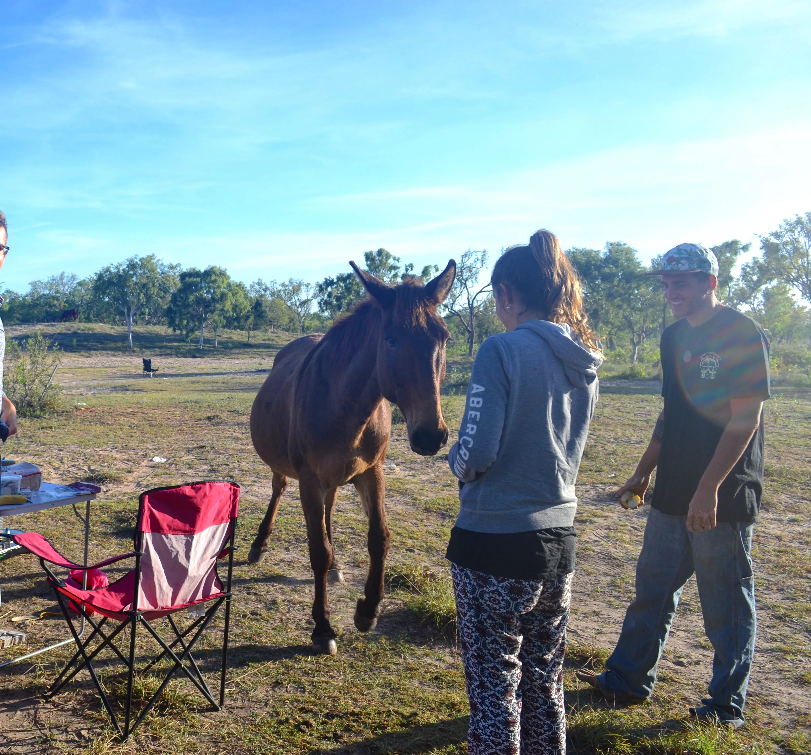 Roadtrip sur la Côte Ouest Australienne : itinéraire 19 Nuit dans un freecamp près de Broome, en compagnie des chevaux sauvages