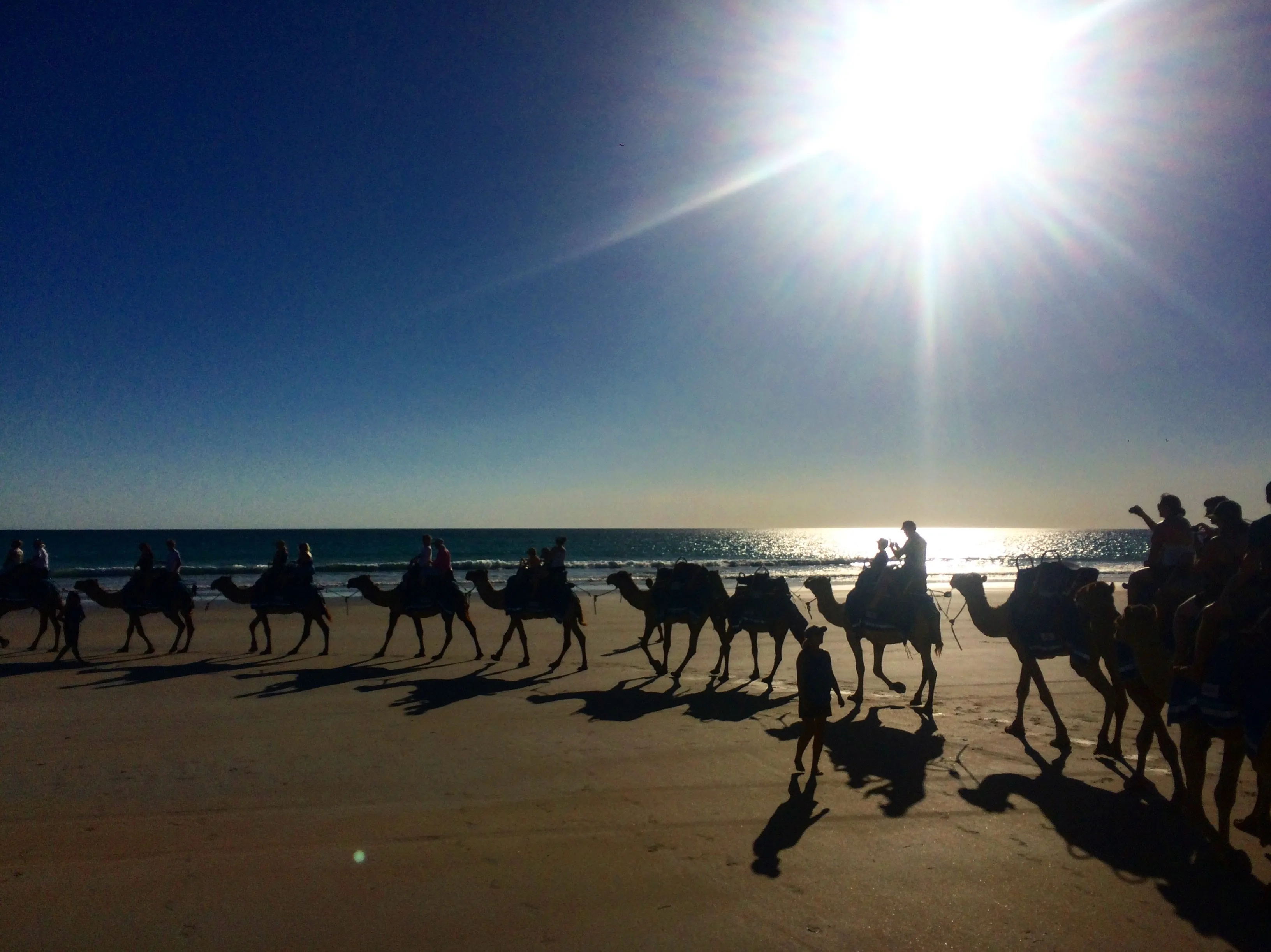 Roadtrip sur la Côte Ouest Australienne : itinéraire 22 Balade à dos de dromadaire sur la plage de Broome