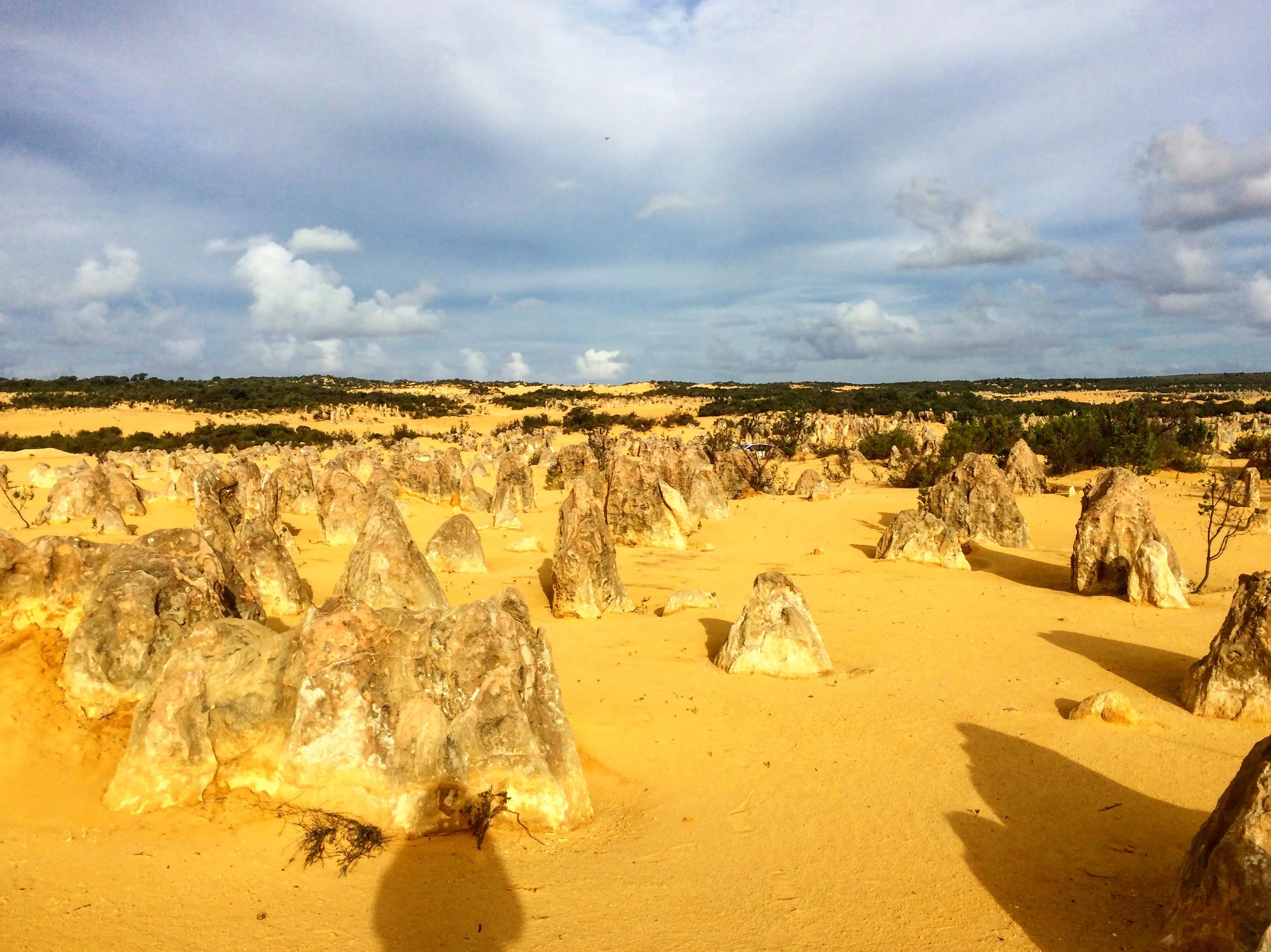Roadtrip sur la Côte Ouest Australienne : itinéraire 7 Découverte du désert des Pinnacles, sur la Côte Ouest Australienne