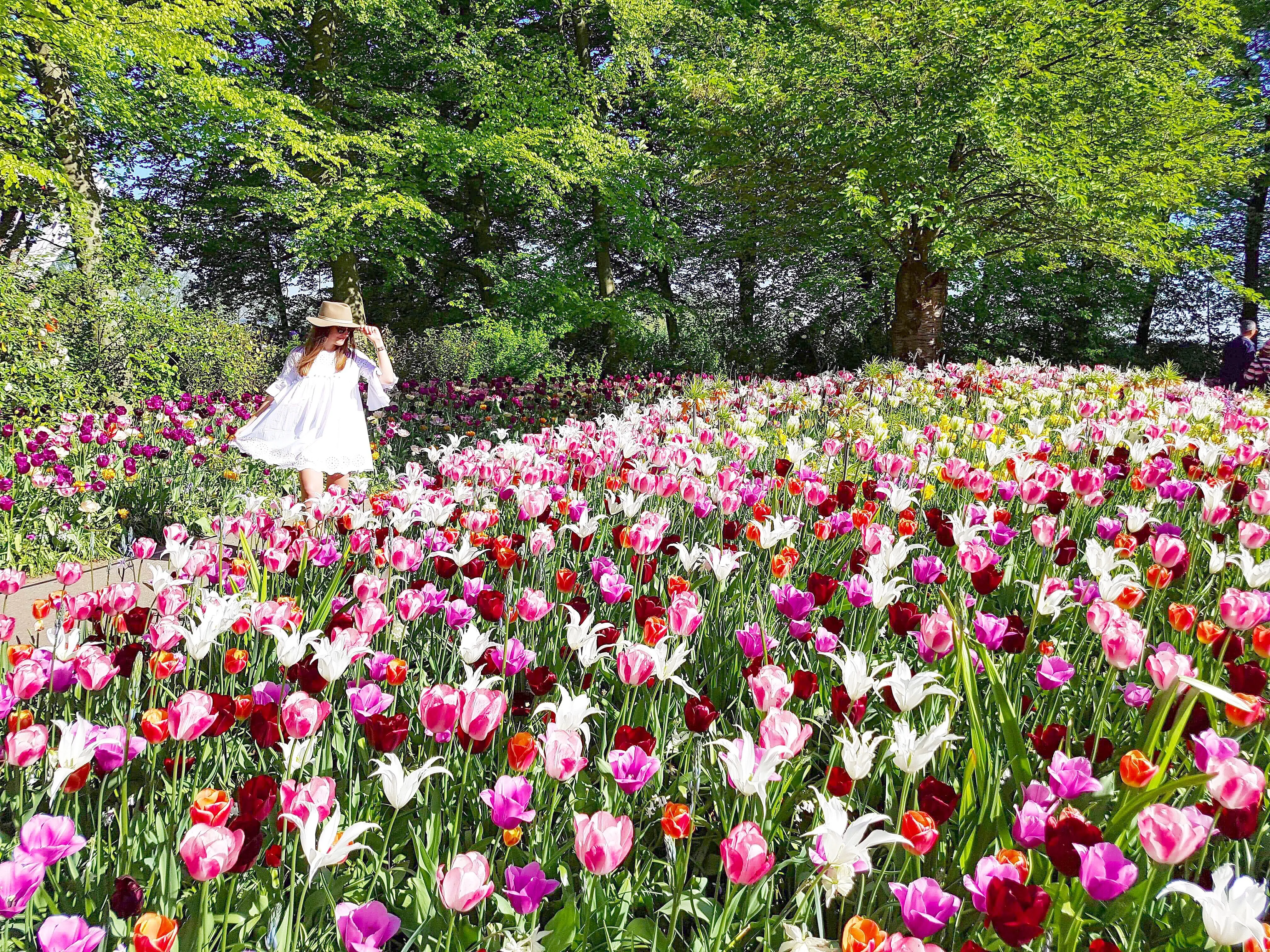 3 jours à Amsterdam : le guide ultime ! 5 Balade à travers les magnifiques champs de tulipes d'Amsterdam