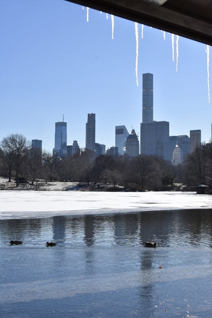 central park new york