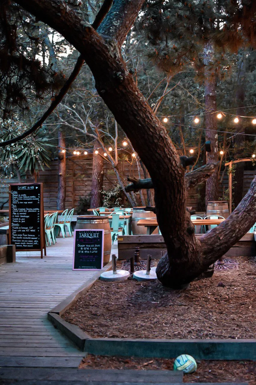Que faire sur le Bassin d'Arcachon ? Le guide complet ! 11 salie sud restaurant bassin arcachon