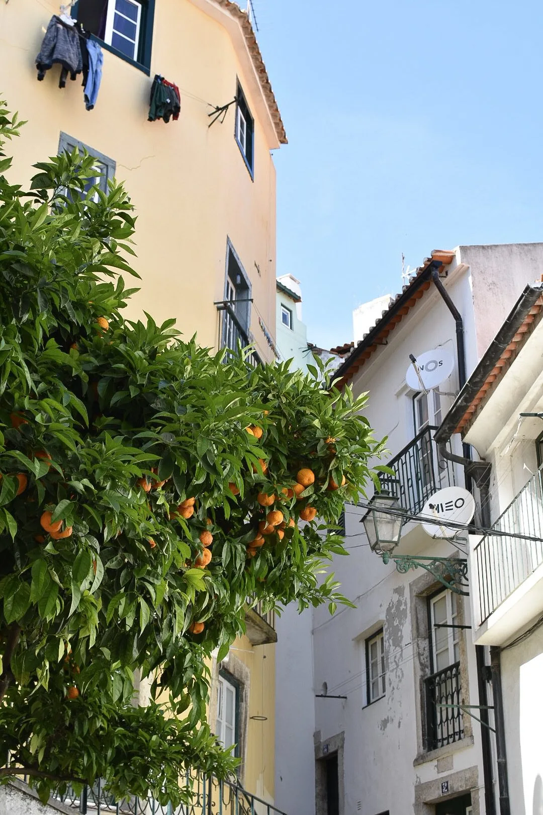 Que faire à Lisbonne en 4 jours : Le City-Guide ! 11 DSC 0404