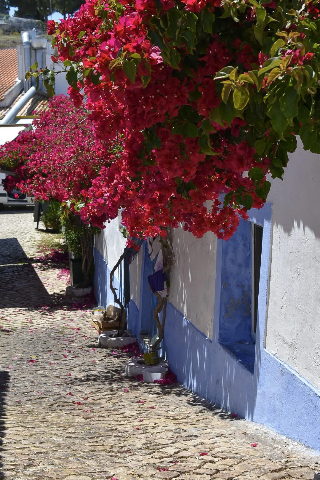 Visiter la Côte d'Algarve en 3 jours : que faire ? 25 Les ruelles fleuries des villages d'Algarve