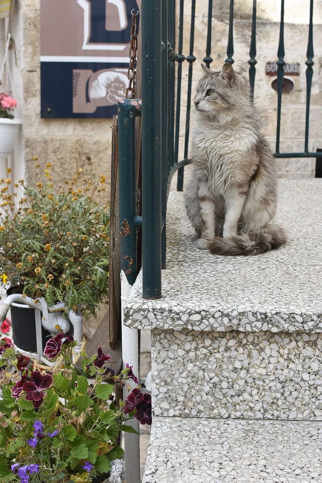 Visiter les Pouilles en 3 jours : itinéraire 22 choses a faire ostuni