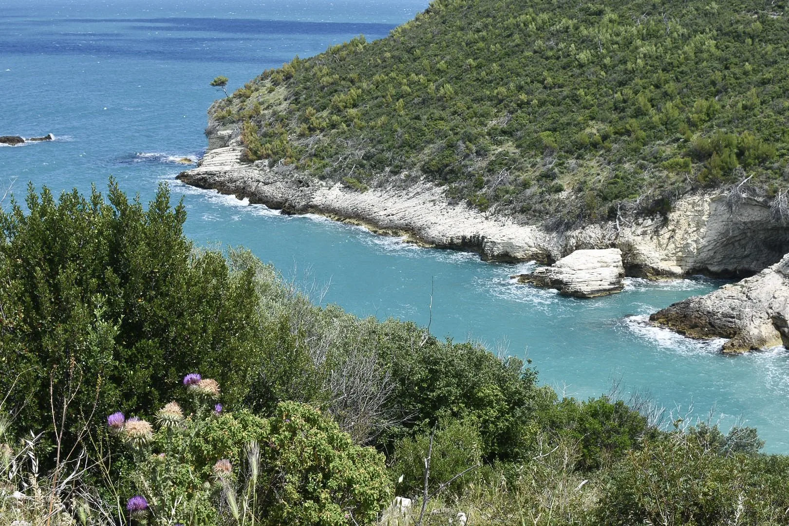 Visiter les Pouilles en 3 jours : itinéraire 37 parc du gargano