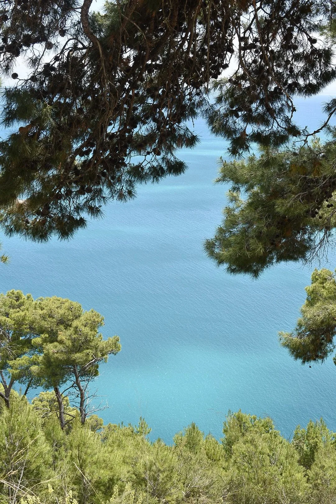 Visiter les Pouilles en 3 jours : itinéraire 36 que voir gargano