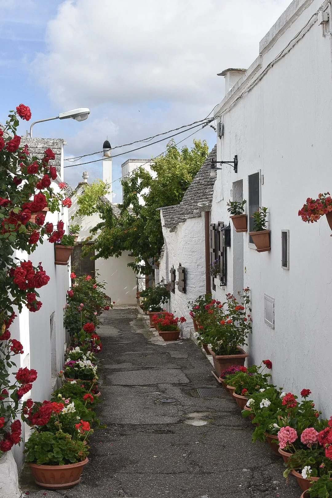 Visiter les Pouilles en 3 jours : itinéraire 29 trulli alberobello