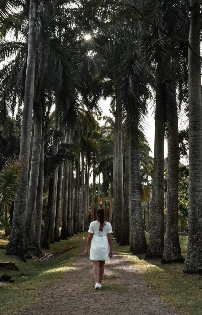 Visite et dégustation de rhum à l'Habitation Clément