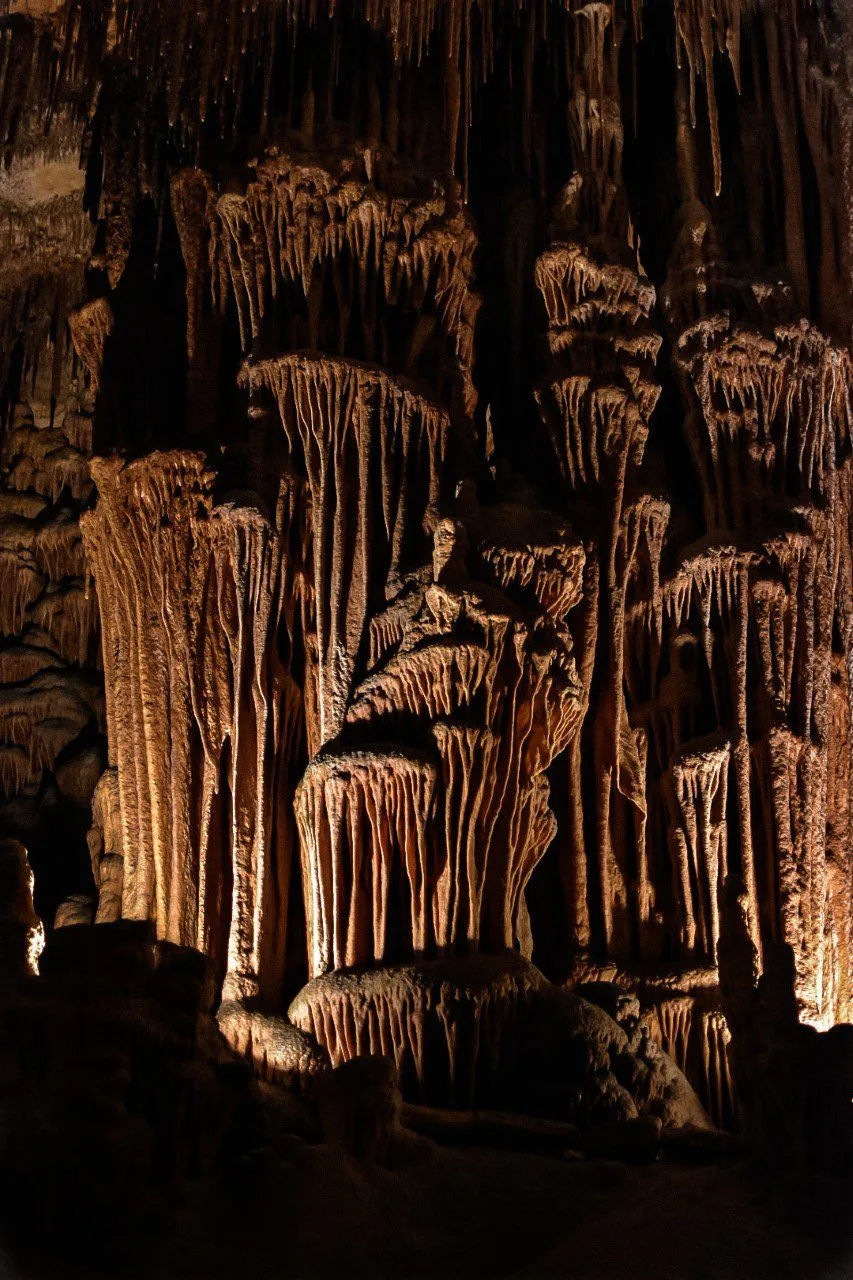 Que faire à Majorque en 4 jours : Guide complet ! 13 L'intérieur des grottes du Drach, une visite à faire à Majorque