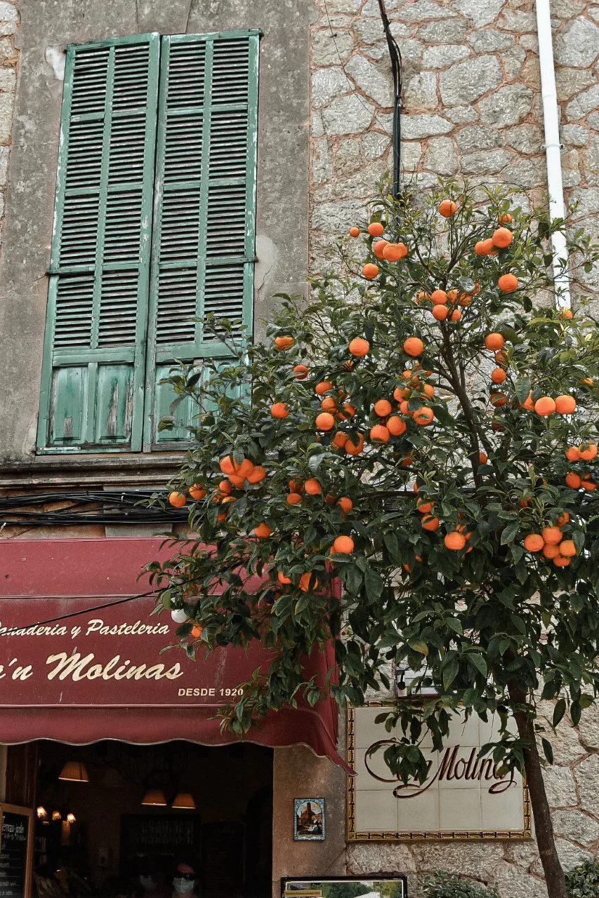 Que faire à Majorque en 4 jours : Guide complet ! 2 Visite du village de Valldemossa, une balade incontournable pour visiter Majorque en 4 jours