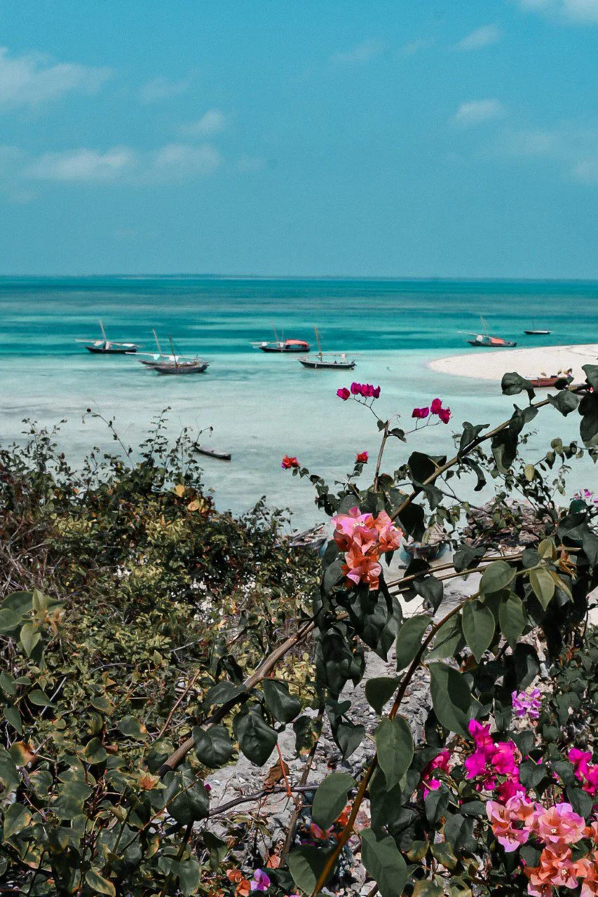 La vue magnifique depuis notre hôtel à Zanzibar
