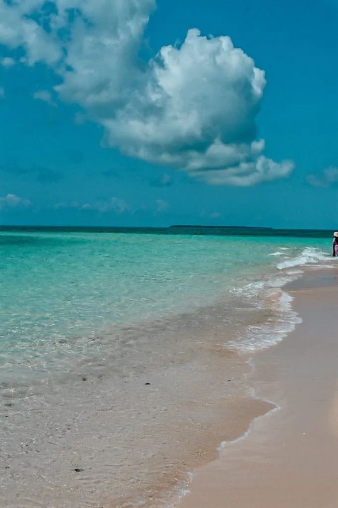 Les plages de sable fin de Zanzibar