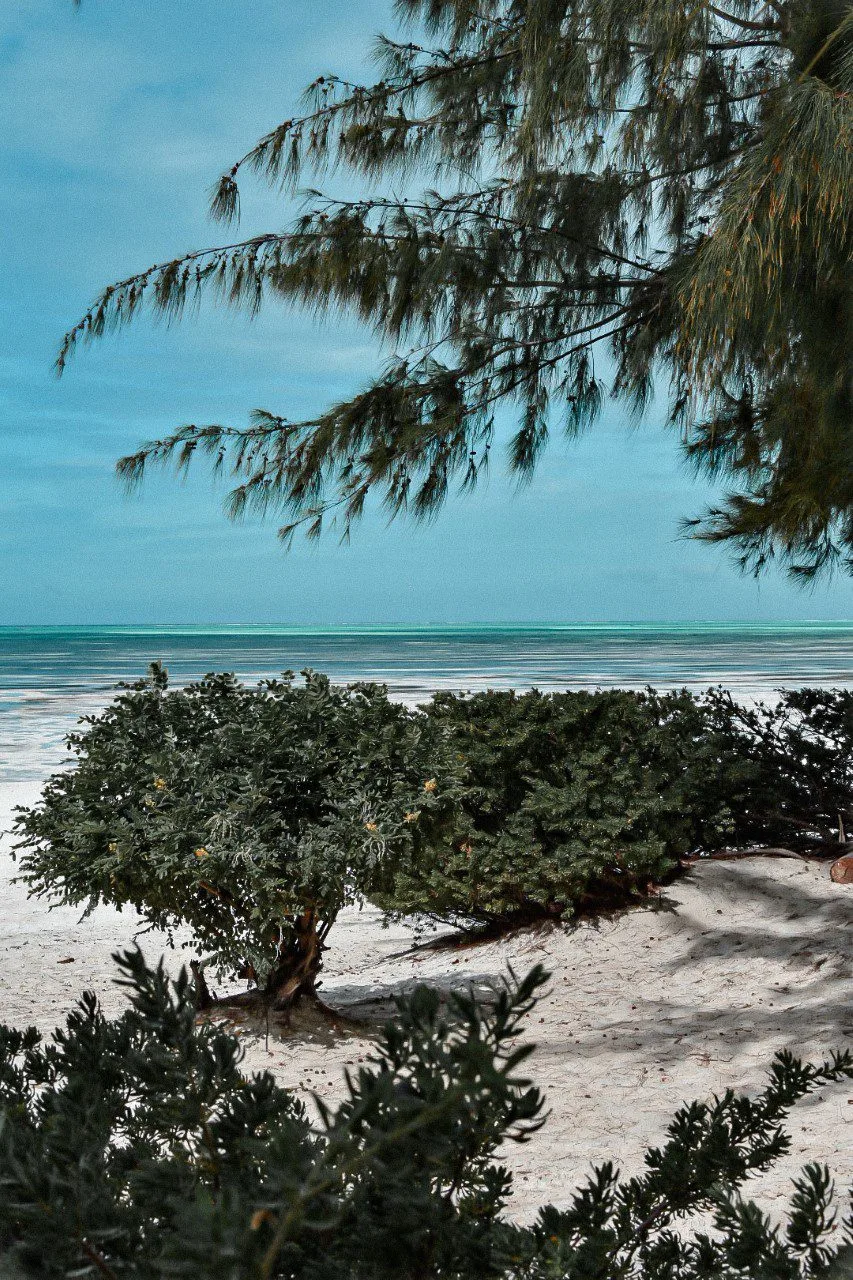 Découverte de la plage de Jambiani