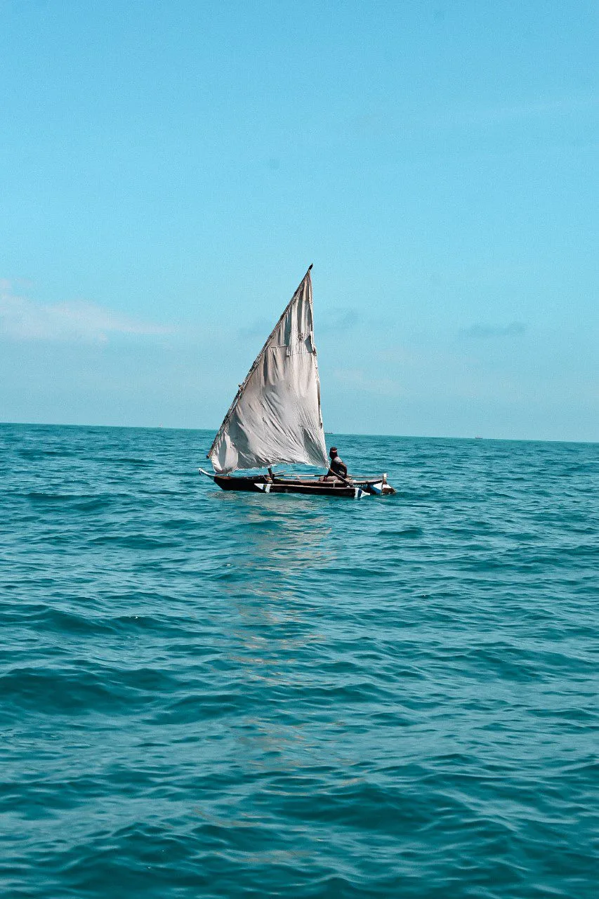 Départ pour le Blue Safari, l'excursion la plus populaire de Zanzibar