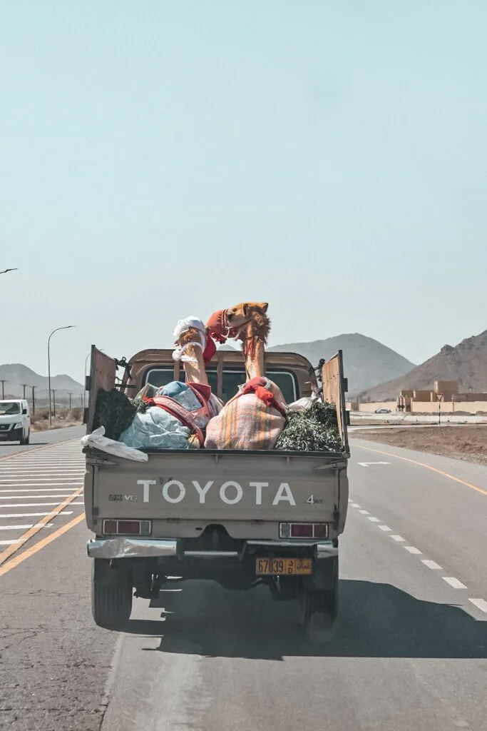 Wahiba Sands : Préparer son voyage dans le désert d'Oman 2 se rendre dans le désert de Wahiba Sands