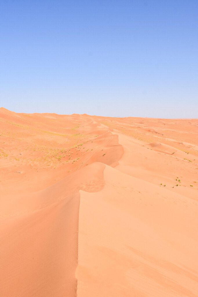 Les dunes de Wahiba Sands à perte de vue