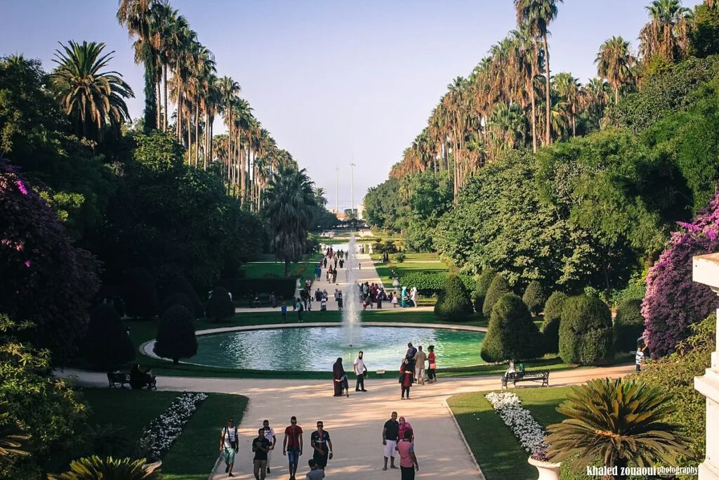 Que faire à Alger : Top 10 des choses à faire 6 balade au jardin essai hamma