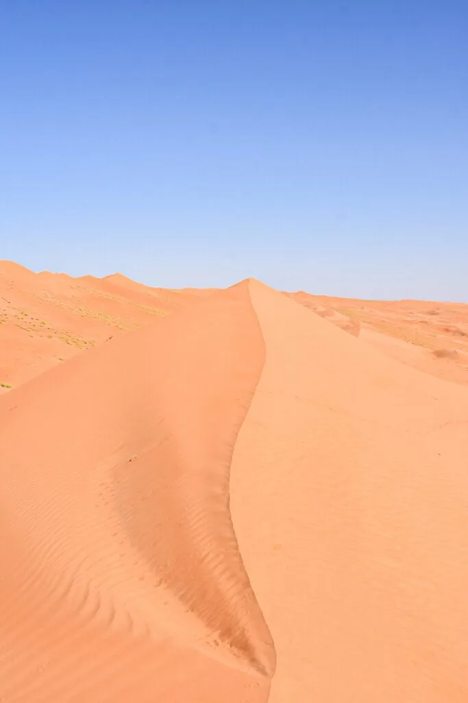 Wahiba Sands : Préparer son voyage dans le désert d'Oman 3 Les belles dunes du désert d'Oman