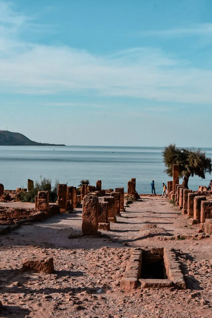 Que faire à Alger : Top 10 des choses à faire 12 vue sur les ruines de tipaza