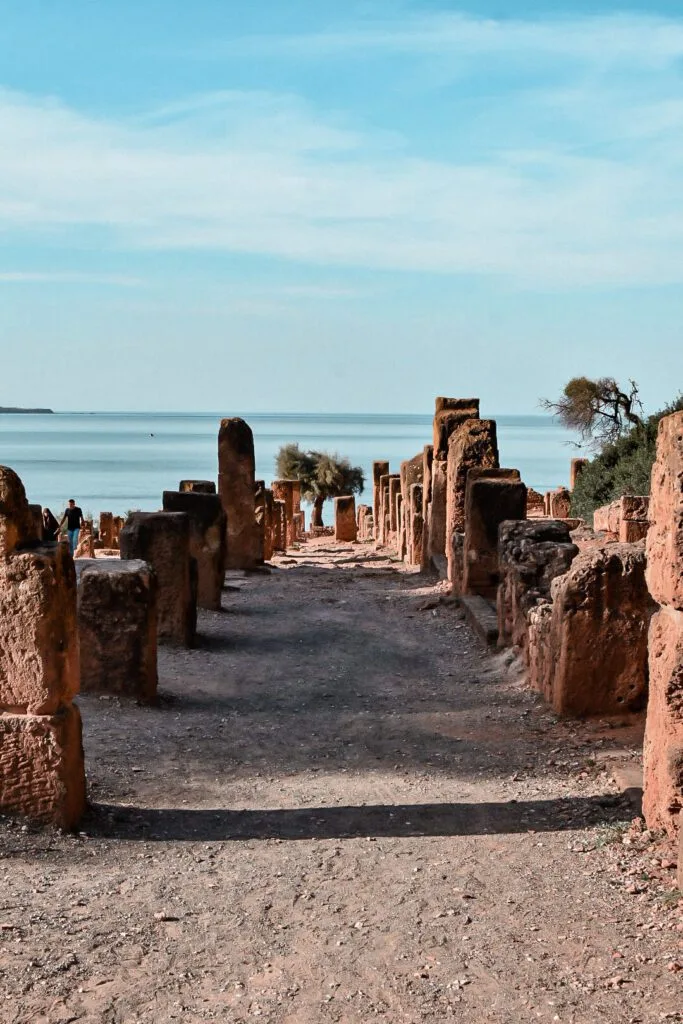 Que faire à Alger : Top 10 des choses à faire 11 visite des ruines romaines de tipaza