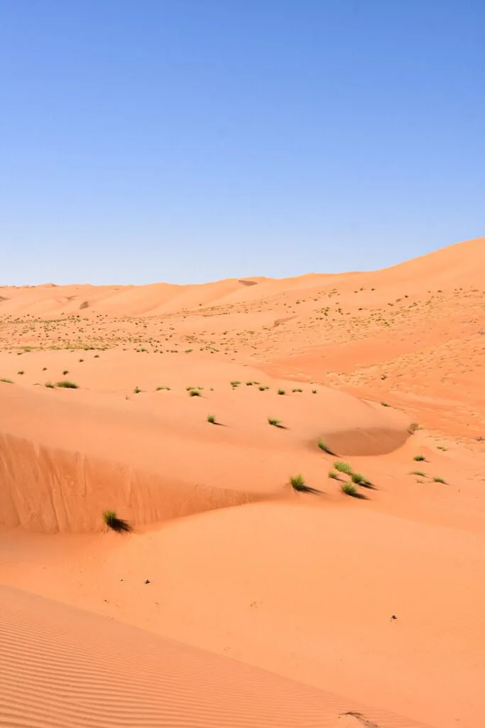 Wahiba Sands : Préparer son voyage dans le désert d'Oman 6 Lever du soleil sur les dunes de Wahiba Sands