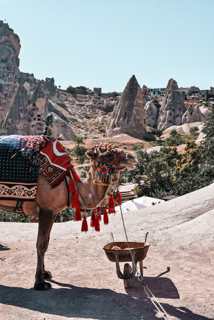 visite du chateau d'Uschisar dans les vallées de la Cappadoce