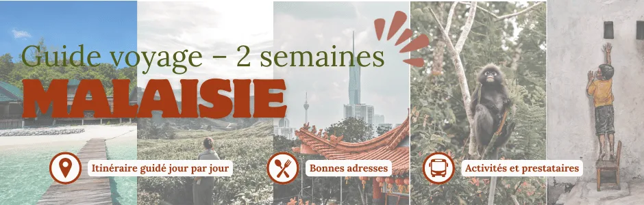Guide voyage a acheter pour la malaisie