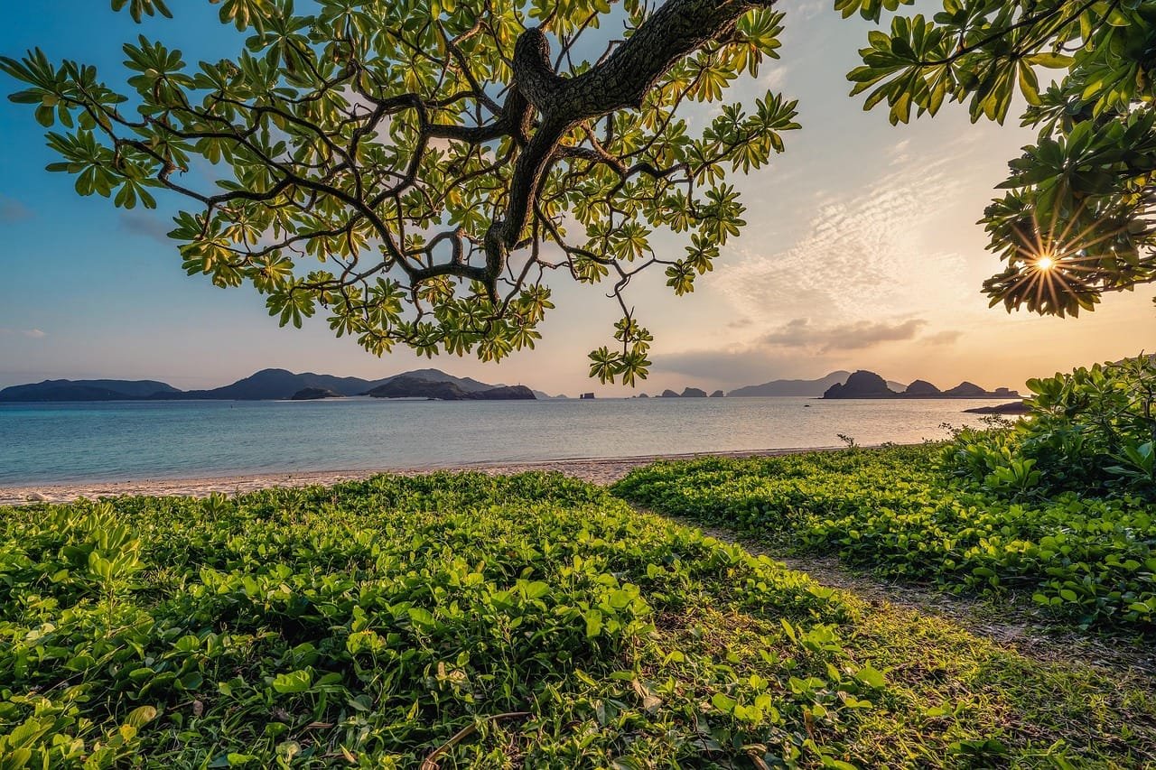Les plus belles plages d’Okinawa : Mon Top 6 !