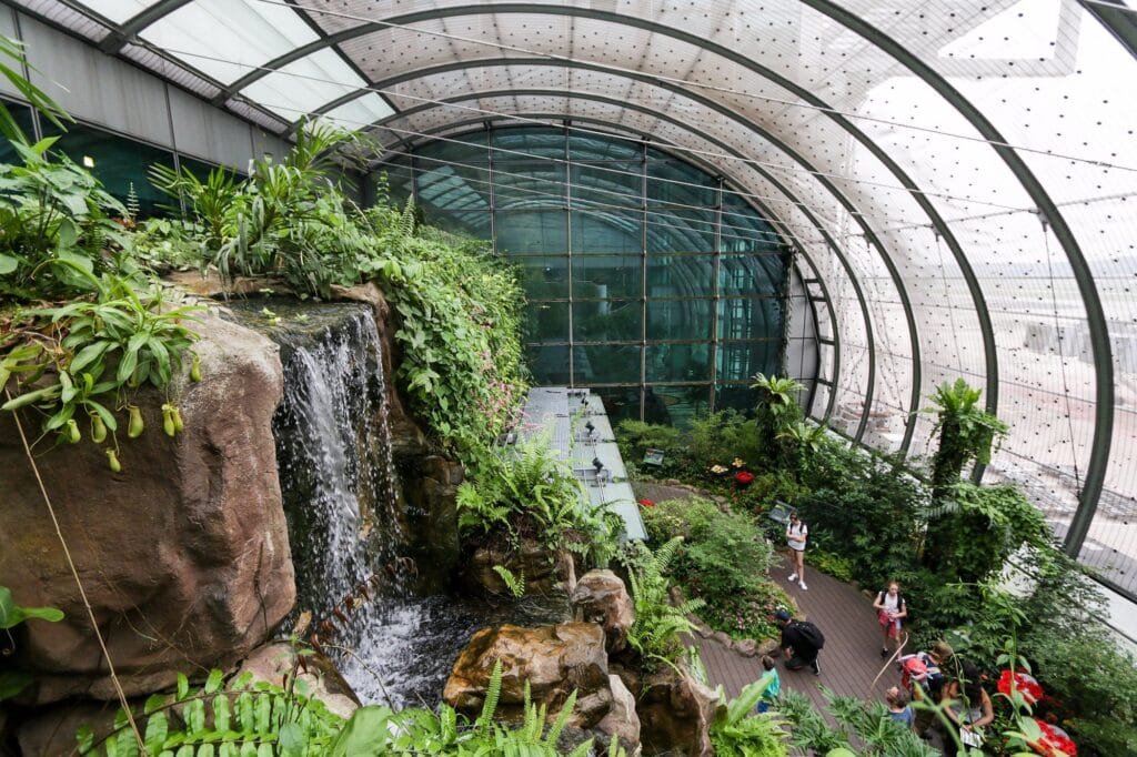 Que faire à l'aéroport de Singapour ? Guide complet ! 3 Papillons tropicaux dans le jardin de la Butterfly Valley à l'aéroport de Singapour