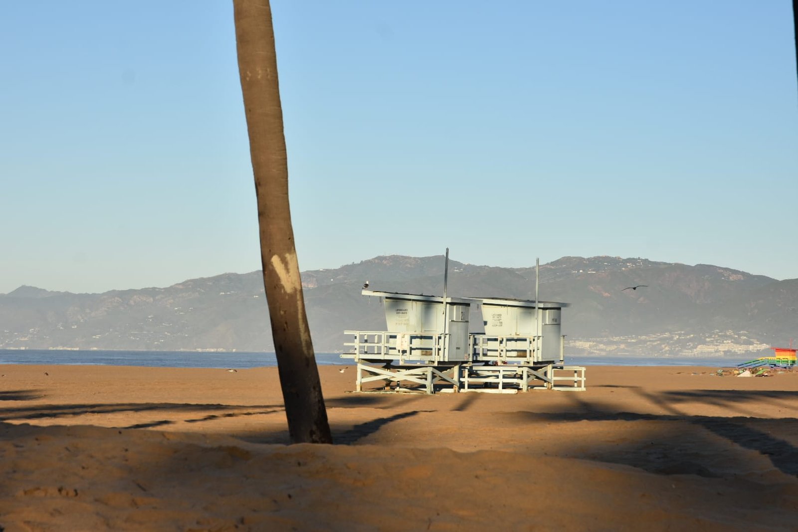 Que faire à Los Angeles ? Le city-guide ! 1 La balade le long de Venice Beach, un incontournable à faire à Los Angeles