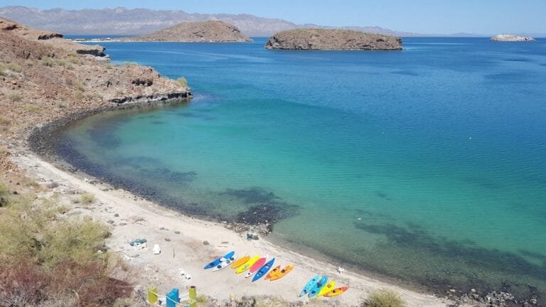 Que faire en Basse-Californie ? Les incontournables ! 5 Baie turquoise avec montagnes rouges et cactus en Basse-Californie