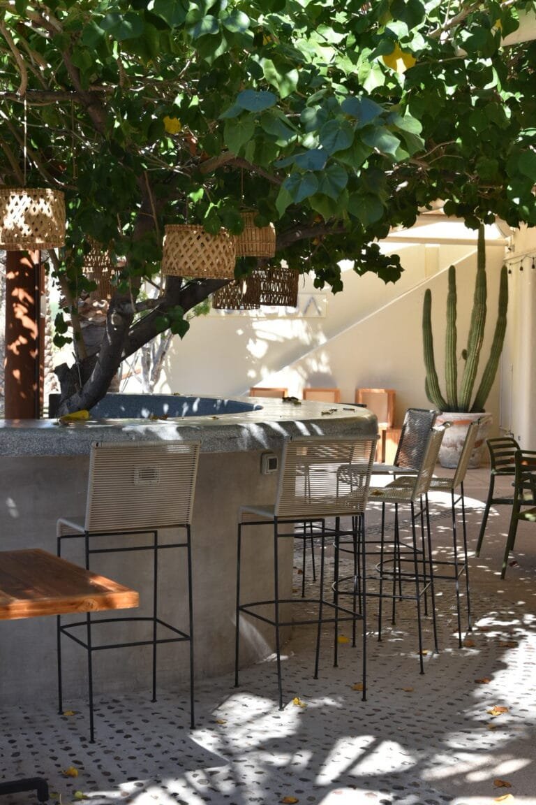 Que faire en Basse-Californie ? Les incontournables ! 3 Terrasse d'un restaurant dans le centre-ville de La Paz