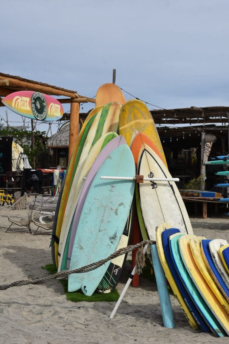 Que faire en Basse-Californie ? Les incontournables ! 11 Cours de surf sur la plage de Los Cerritos