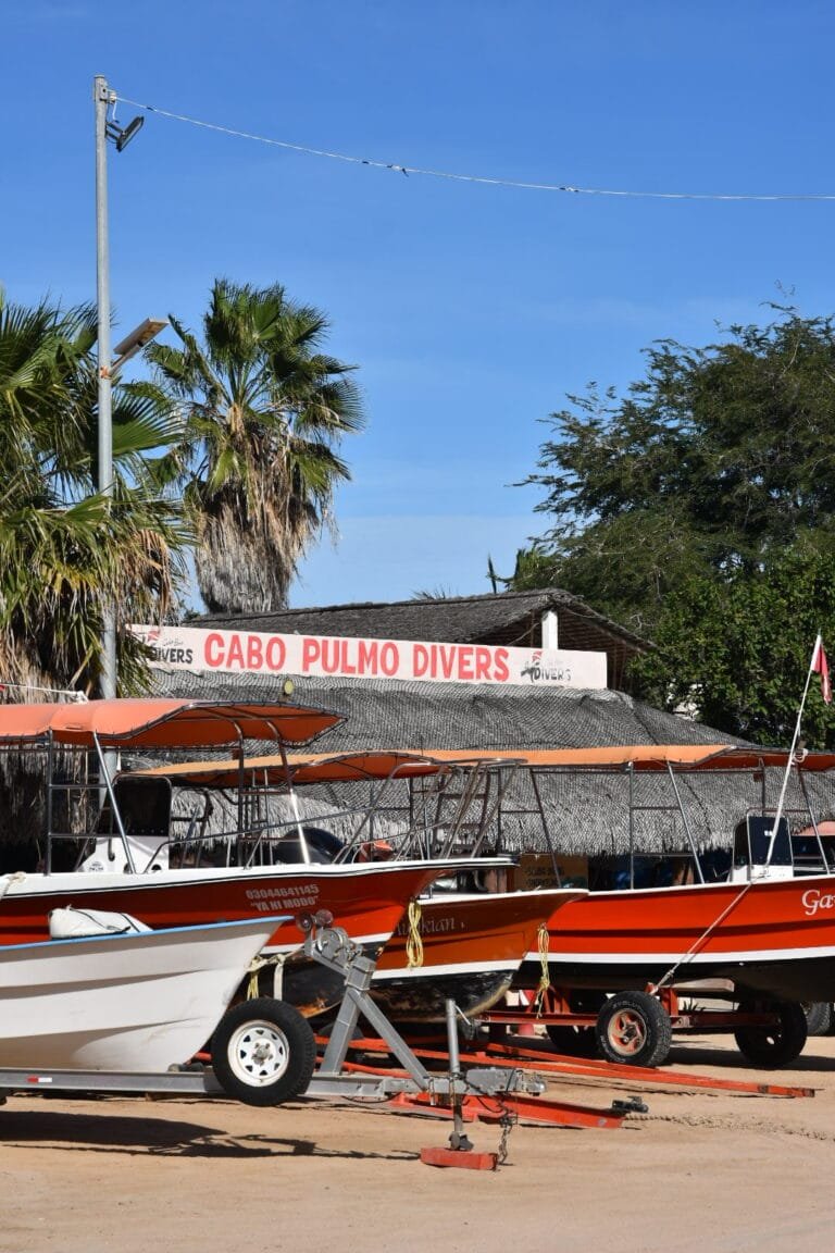 Roadtrip de 2 semaines en Basse-Californie : itinéraire complet 8 club mythique où plonger à Cabo Pulmo : le Cabo Pulmo Divers