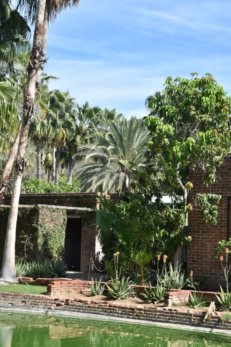 Roadtrip de 2 semaines en Basse-Californie : itinéraire complet 11 los cabos paysages