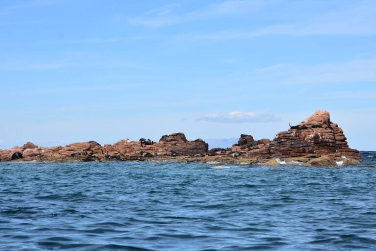 Roadtrip de 2 semaines en Basse-Californie : itinéraire complet 4 Otaries joueuses dans l'eau cristalline île Espíritu Santo lors de mes 2 semaines en Basse-Californie