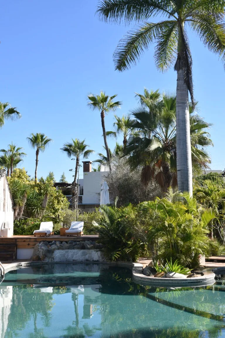 Repos à la piscine pour ces quelques derniers jours en Basse-Californie