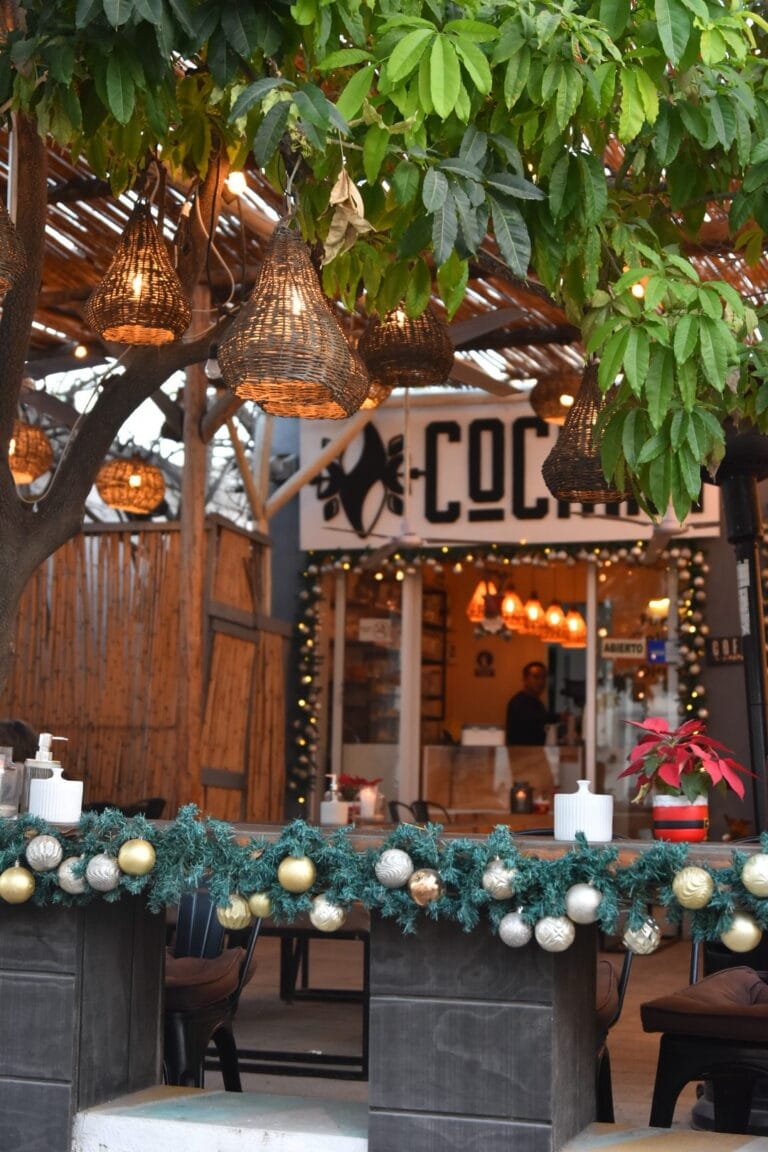 Roadtrip de 2 semaines en Basse-Californie : itinéraire complet 10 Ruelle colorée et guirlandes de Noël à San José del Cabo