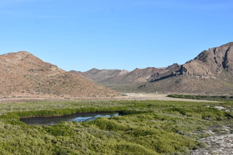 Roadtrip de 2 semaines en Basse-Californie : itinéraire complet 2 route aeroport la paz