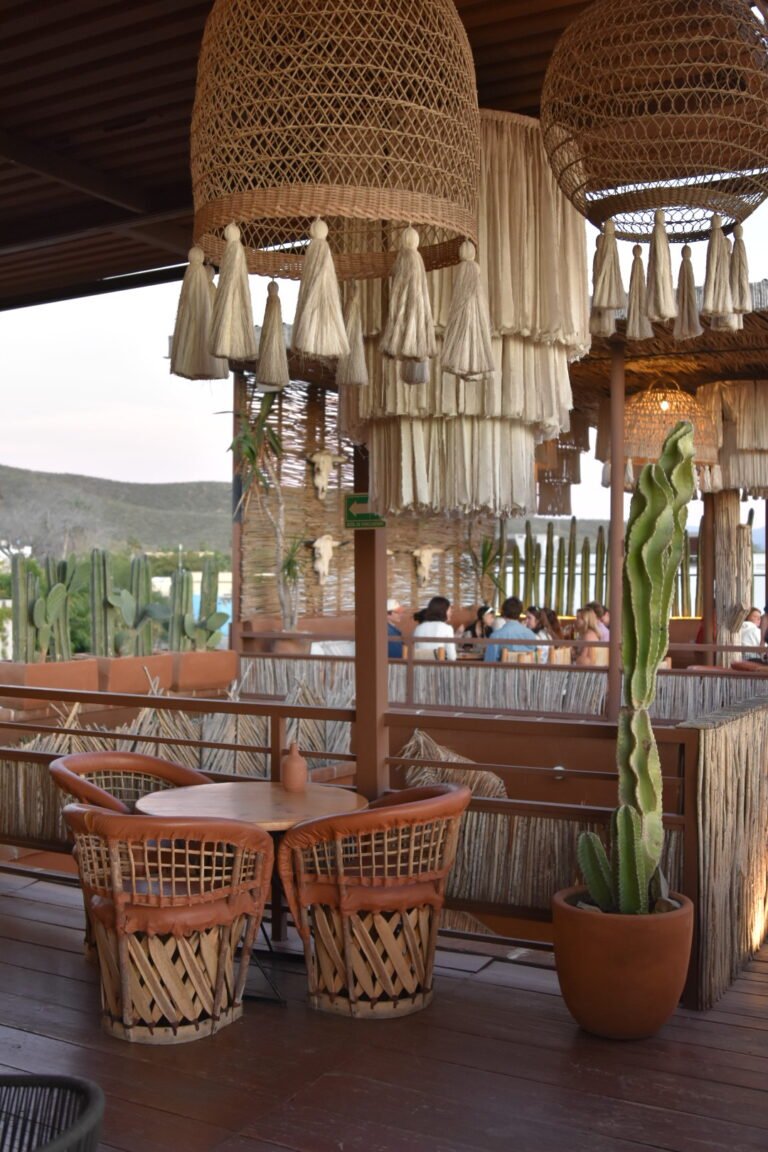 restaurant todos santos rooftop