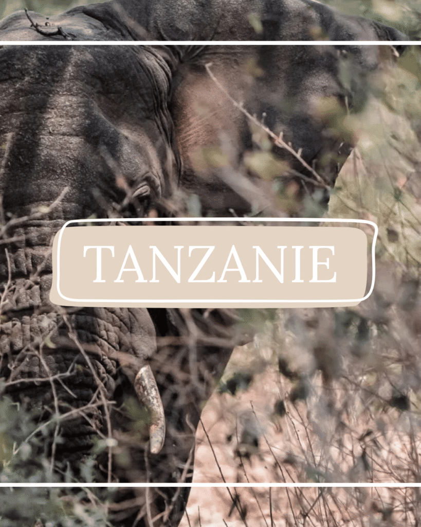 articles de blog voyage en Tanzanie et à Zanzibar
