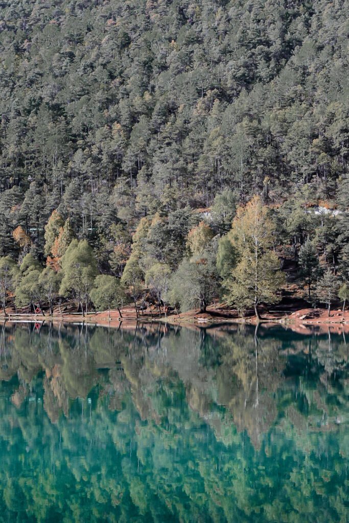 2 semaines en Chine : itinéraire idéal + conseils 5 Forêt de sapins qui se reflète dans l'eau près de Lijiang