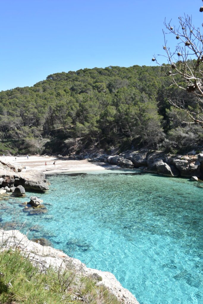 Que faire à Minorque en 4 jours : guide complet 13 la petite crique préservée de Cala Futsam à Minorque