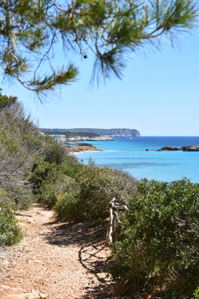 Que faire à Minorque en 4 jours : guide complet 12 sentier côtier du Camí de Cavalls entre Cala Mitjaneta et Cala Fustam à Minorque