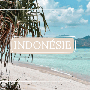 vue sur les magnifiques paysages d'Indonésie en Asie