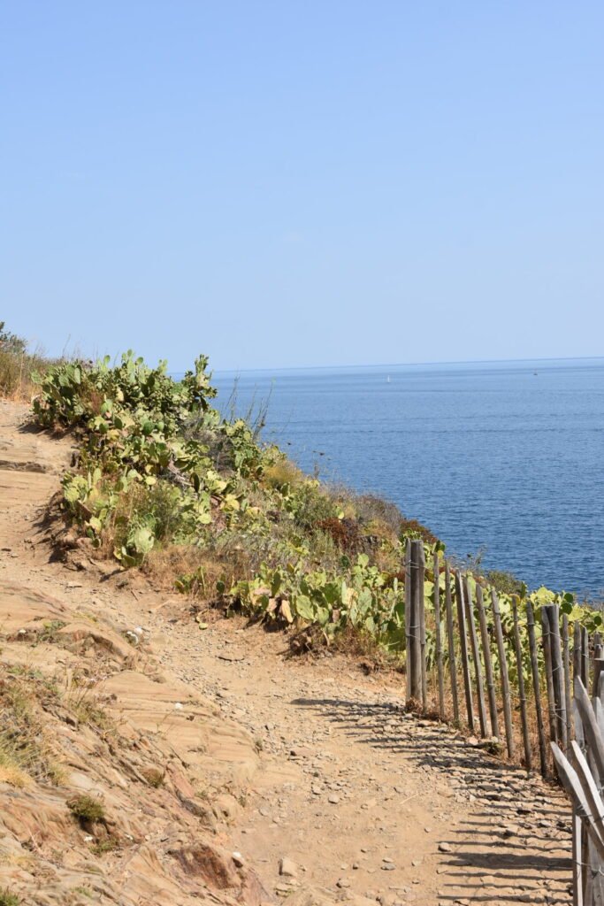 Visiter Collioure en 2 jours : guide + itinéraire 8 balade le long du chemin du littoral lors de mon séjour de 2 jours à Collioure
