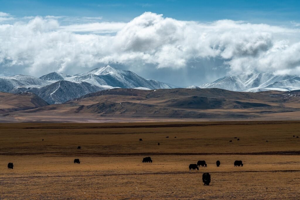 Visa pour la Chine en 2026 : faut-il un visa pour les français ? 6 Paysage de montagnes tibétaines, région soumise à un permis spécifique