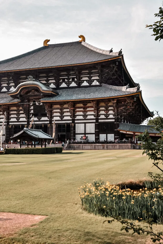 Que faire à Nara en une journée : programme + conseils 5 Vue sur le temple de Tôdai-ji à Nara