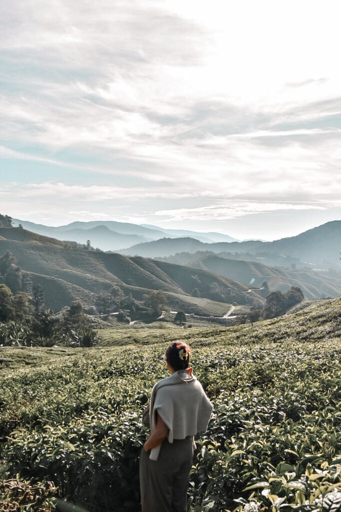 moi au milieu des plantations de thé BOH à Cameron Highlands